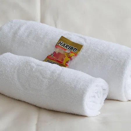 Wasserburg Hotell Grossdorf (Tyrol)